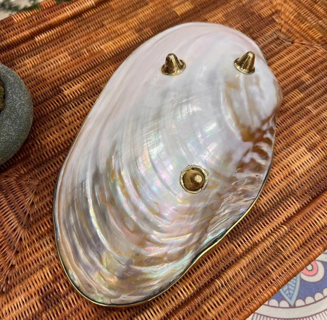 Plateau à bijoux en coquillage naturel