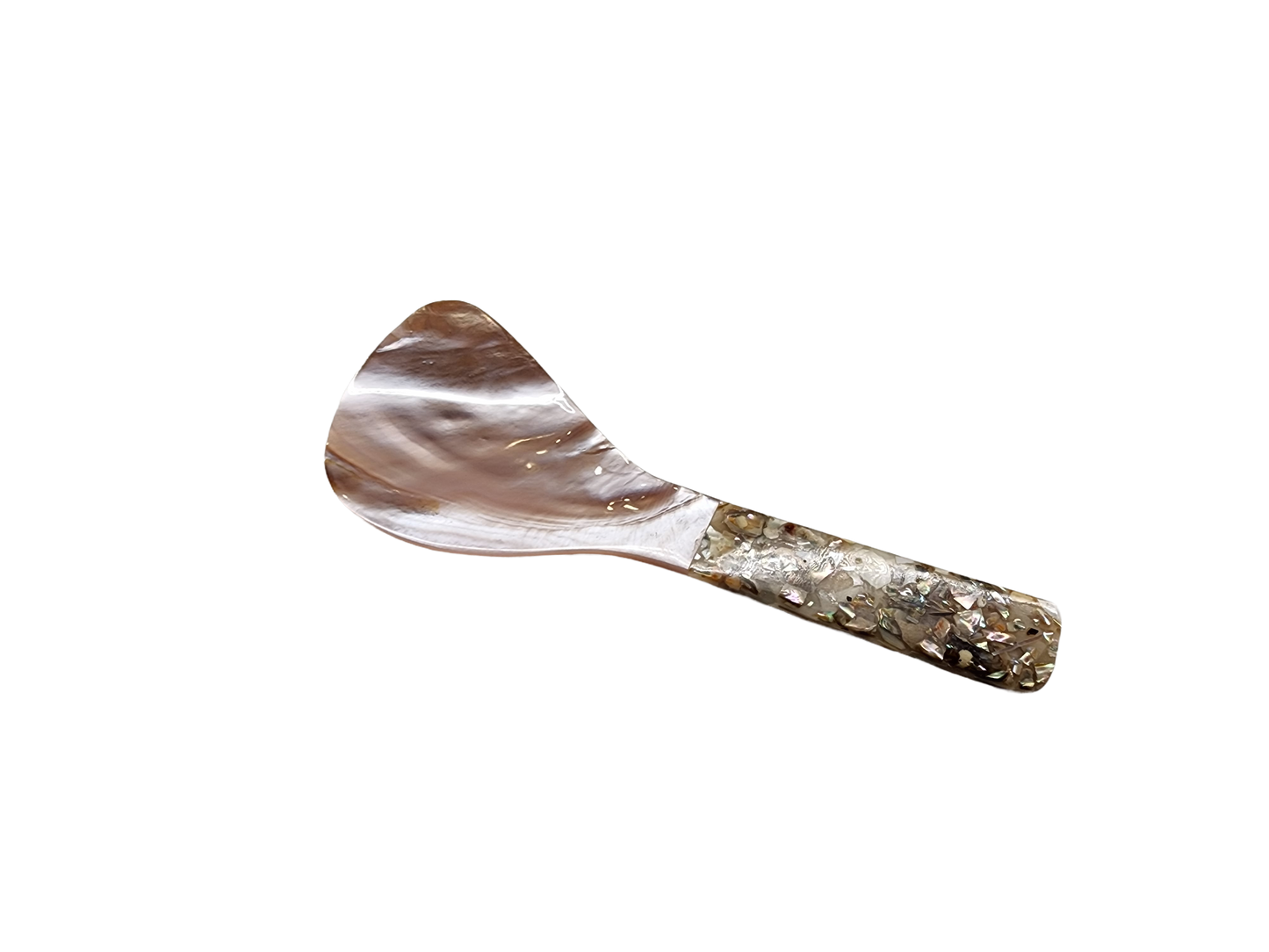 Natural Shell Serving Spoon